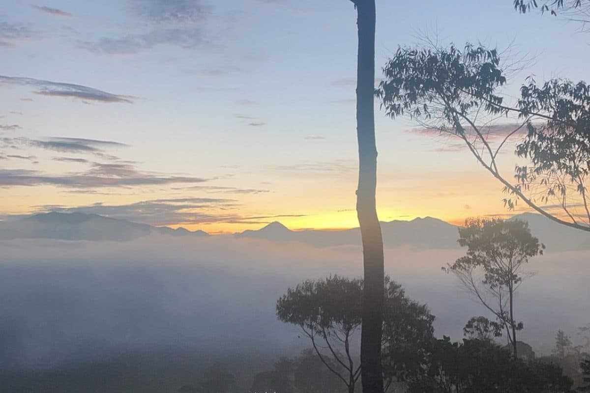 Misty sunrise over the forest from a viewpoint